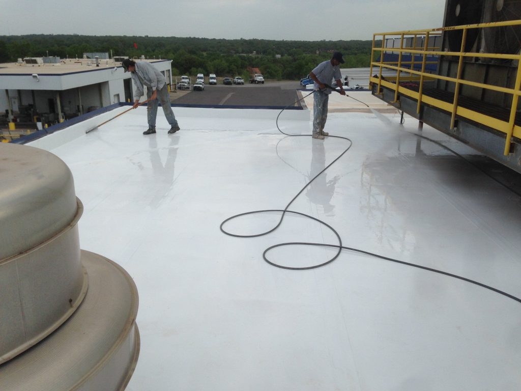 roof cleaning